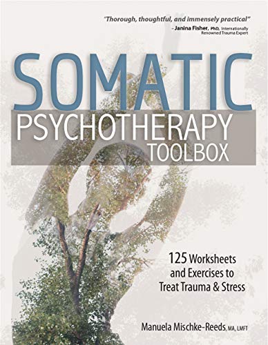 Book Cover Somatic Psychotherapy Toolbox: 125 Worksheets and Exercises for Trauma & Stress