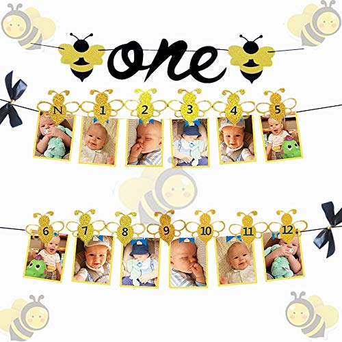 Book Cover JeVenis Set of 2 Bumble Bee Monthly Photo Banner First Year Photo Banner First Birthday Photo Banner 12 Month Bee Photo Banner for First Birthday Decoration 1st birthday decoration