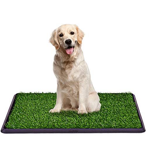 Book Cover Giantex Dog Puppy Pet Potty Pad, Home Training Toilet Pad, Grass Surface Portable Dog Mat Turf Patch Bathroom Indoor Outdoor (30