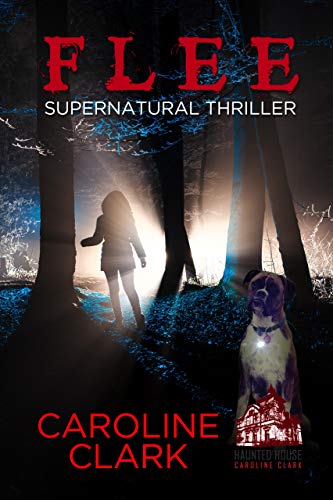 Book Cover Flee: Supernatural Thriller
