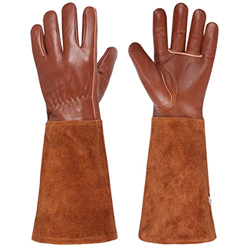 Book Cover Packfun Rose Pruning Gloves, Goatskin Leather Gardening Gloves for Men&Women, Extra Long Cowhide Suede Gauntlet for Forearm Protection, Thorn Proof Suitable for Roses Prickly Berries Pruning&Growing