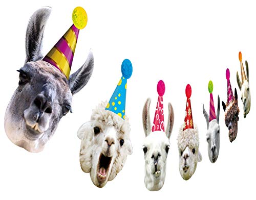 Book Cover Llama Birthday Garland, Funny Alpaca Face Portrait Bunting, Hilarious Bday Party Decoration