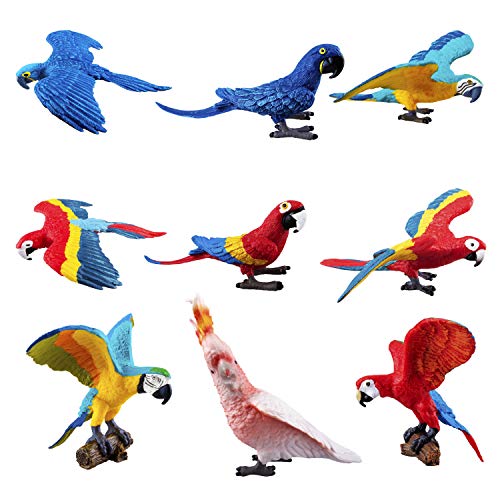 Book Cover TOYMANY 9PCS Realistic Parrot Birds Figurines, 2-4