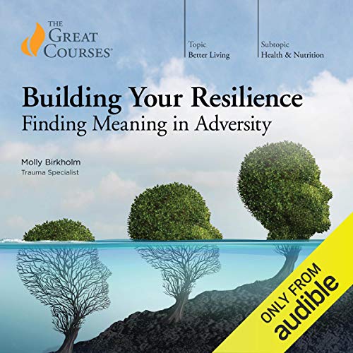 Book Cover Building Your Resilience: Finding Meaning in Adversity