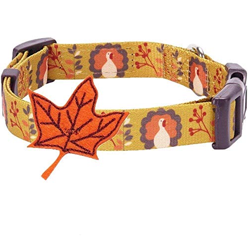 Book Cover Blueberry Pet Happy Pumpkin Party Designer Dog Collar with Detachable Decoration, Small, Neck 30cm-40cm, Holiday Collars for Dogs
