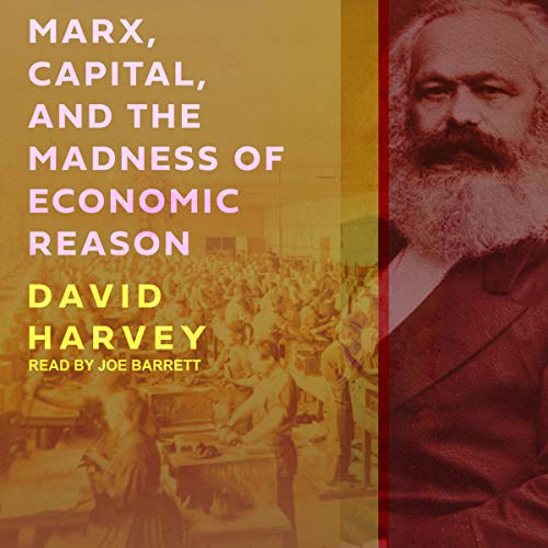 Book Cover Marx, Capital, and the Madness of Economic Reason