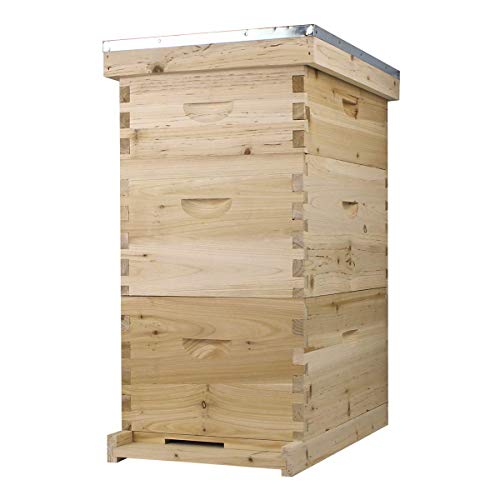 Book Cover Bee Hive Complete with Frames & Wax Coated Foundations (NU8-2D1M)