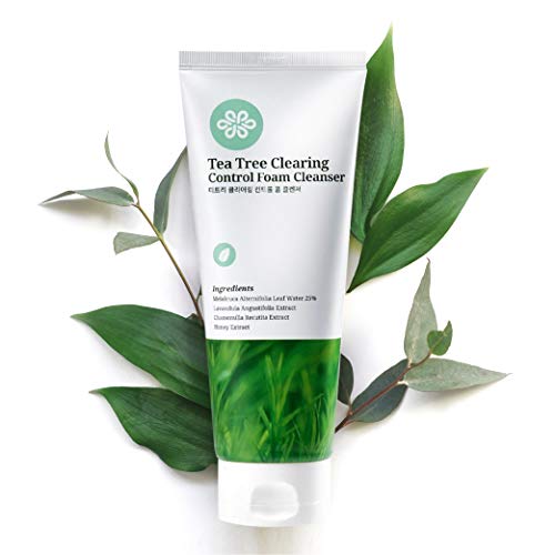 Book Cover LovLuv Tea Tree Foaming Facial Cleanser, K Beauty Daily Face Wash with Natural Ingredients and Anti Aging Properties [6 Oz]