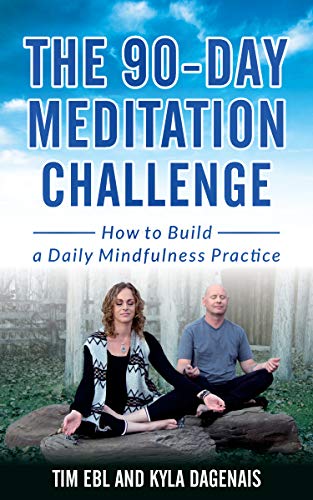 Book Cover 90 Day Meditation Challenge: How To Build A Daily Mindfulness Practice