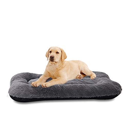 Book Cover Dog Bed Medium Size Dogs, Washable Dog Crate Bed Cushion, Dog Crate Pad Medium Dogs 30 INCH