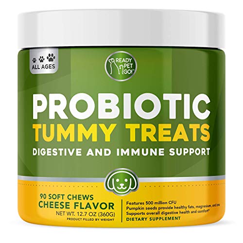Book Cover Probiotics for Dogs Enhanced with Digestive Enzymes + Prebiotics & Pumpkin | Dog Probiotics to Improve Digestion | Relieves Dog Diarrhea, Gas, Constipation, Upset Stomach | Allergy + Immune Support