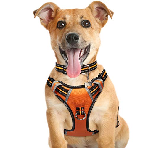 Book Cover WINSEE Dog Harness No Pull, Pet Harnesses with Dog Collar, Adjustable Reflective Oxford Outdoor Vest, Front/Back Leash Clips for Small, Medium, Large, Extra Large Dogs, Easy Control Handle for Walking