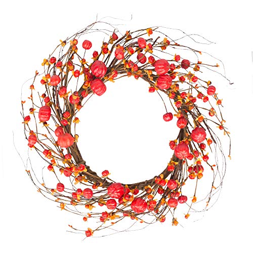 Book Cover VGIA 18 Inch Red Berry Wreath Fall Wreath Front Door Decor Wreath Fall Decorations