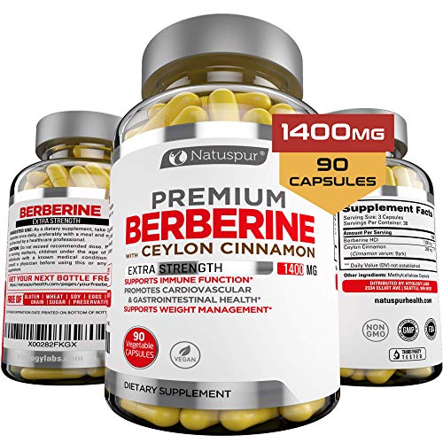 Book Cover Premium Berberine HCL Plus Ceylon Cinnamon 1400mg for Blood Sugar, Glucose Metabolism, Immune System, Insulin, Diabetes, Cardiovascular & Gastrointestinal Function â€“ Berberine HCI Root Supplement