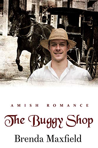 Book Cover The Buggy Shop