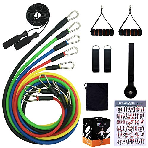 Book Cover Beakabao Sports Resistance Band Set - Includes Bands, Handles, Ankle Straps, Door Anchors, Guides and Bag, Free Skipping Rope - for Physical Training, Weight Loss, Home Exercise, Yoga, Pilates