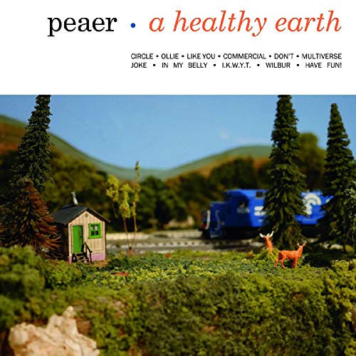 Book Cover A Healthy Earth