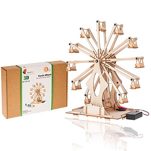 Book Cover Wooden Ferris Wheel - STEM Projects for Kids Ages 8-12 -16 Engineering Kit, 3D Puzzles Roller Coaster Building Set - DIY Educational Model Building Toys - Teens Gifts for Girls and Boys