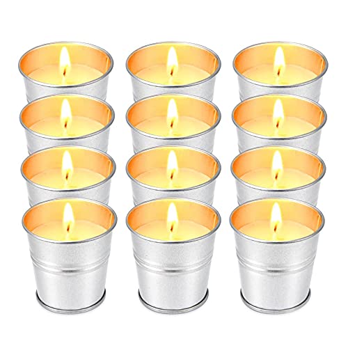 Book Cover Hausware Citronella Candles Outdoor Indoor - 2.5 oz Scented Candles Set 12 Pack Natural Soy Wax citronella Candles for Garden Patio Yard Home Balcony Camping Backyard