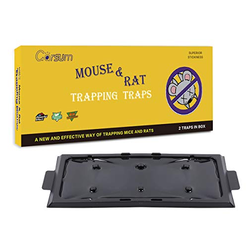 Book Cover Garsum Mouse Trap 2 Rat Trap,Sticky Traps for Mice,Large Rat Glue Pads,Extra Sticky Traps with Peanut Butter Large Capture Area,Catch Mouse Indoor and Outdoor (Mouse Trap Board)