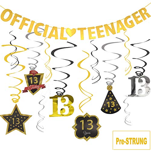 Book Cover Official Teenager Banner 13 Birthday Decoration Kit, JESWELL Pre Threaded Birthday Party Banner and Sparkling Celebration Swirls for 13 Years Old Party Supplies