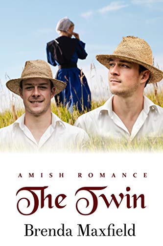 Book Cover The Twin (Lindy's Story Book 1)