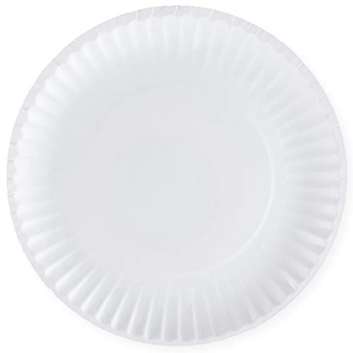 Book Cover [300 Pack] Bulk Disposable White Uncoated Paper Plates, 9 Inch Large