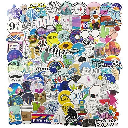 Book Cover Stickers for Water Bottle, Big 100-Pack Cute Vinyl Trendy Sticker for Teen Girl, Fashion Decal for Laptop Phone Travel Case Skateboard