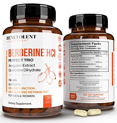 Book Cover Premium Berberine HCL 730mg - 120 VCAPS Perfect Trio Complex with Non-GMO Jiaogulan & Quercetin, Support Blood Sugar Health & Glucose Metabolism, Immune, Cardiovascular, Gastrointestinal Function