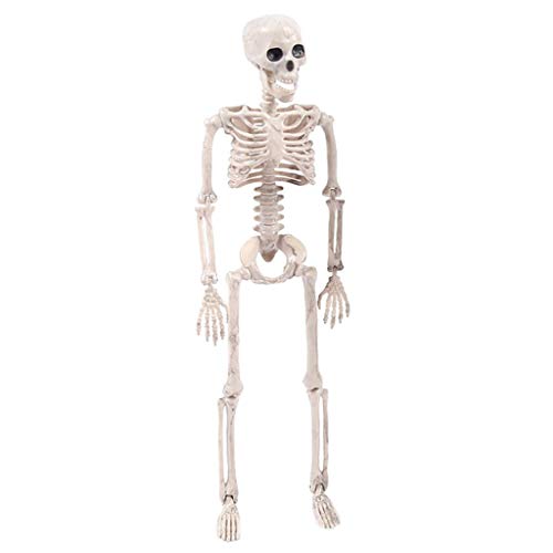 Book Cover BINMUO 40X10cm Jointed Human Skeleton Decoration Halloween Party Prop Decoration Christmas Best Decoration and Gift