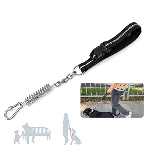 Book Cover 8-10FT Dog Leash for Large Dog Heavy Duty, with Detachable Short Dog Leash- Padded Traffic Leash with Shock Absorbed Spring for Extra Control, Bungee No Pull Reflective Dog Leash for Large Breed Dog