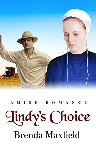 Book Cover Lindy's Choice (Lindy's Story Book 3)