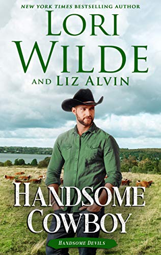 Book Cover Handsome Cowboy (Handsome Devils Book 4)