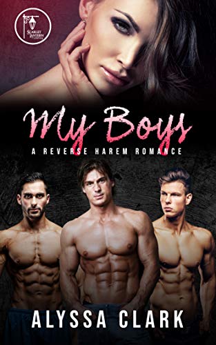 Book Cover My Boys: A Reverse Harem Romance