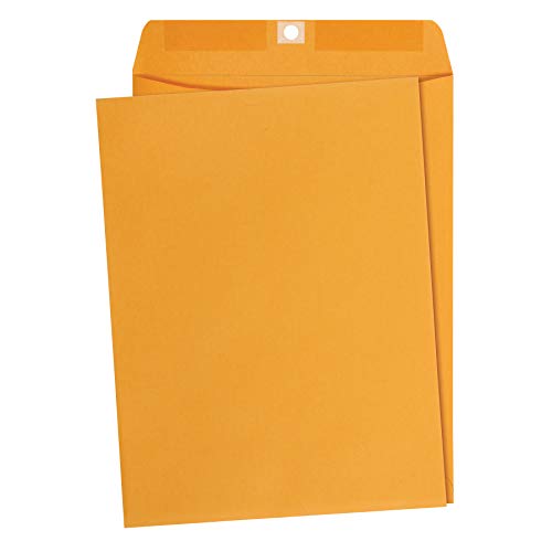Book Cover AmazonBasics 9 x 12-Inch Clasp Kraft Envelopes, Gummed, 100-Pack