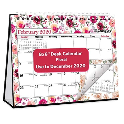 Book Cover Desk Calendar 2020 (8x6, Floral) Gorgeous Monthly Designs, Use Small Desktop Calendar to December 2020, Double-Sided, Beautiful Spiral Tent Standing Easel Table Calendar