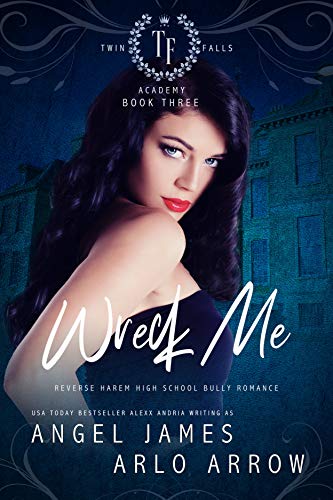 Book Cover Wreck Me (Reverse Harem Bully High School Romance) (Twin Falls Academy Book 3)