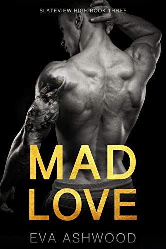 Book Cover Mad Love: A Dark Reverse Harem Romance (Slateview High Book 3)