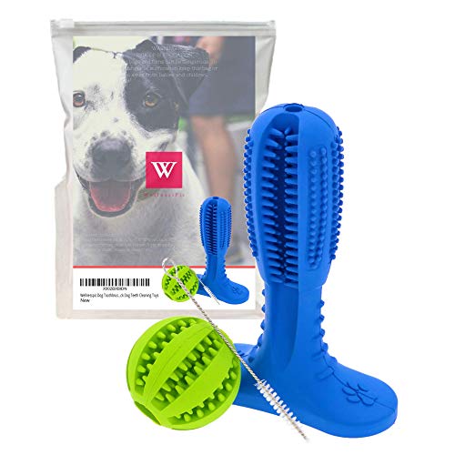 Book Cover Wellnesspic Dog Toothbrush Stick-Dog Toothbrush Chew Toy Small, Resistant Non-Toxic Natural Rubber Dog Chew Toothbrush, Dog Toothbrush Stick Dental Oral Care, 2 Items Pack Dog Teeth Cleaning Toys