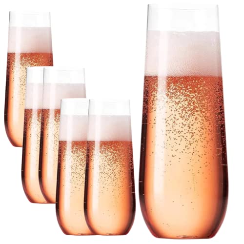 Book Cover LeSuz 100% Tritan Plastic Champagne Stemless Flutes. Set of 6, 12oz. Shatterproof, BPA-FREE, Dishwasher Safe, Long Lasting Stemless Champagne Flute. Better than Champagne Glasses. Mimosa Flutes.