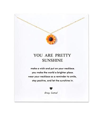 Book Cover Gray Camel Sunflower Necklace You are My Sunshine Carving Necklace for Woman Girl Card Necklace Gift Necklace (C: Orange)
