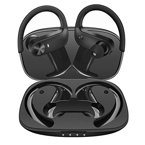 Book Cover BEBEN Bluetoth 5.0 True Wireless Earbuds, IP68 Waterproof 30H Cyclic Playtime TWS Stereo Headphones for iPhone Android with Charging Case, in-Ear Earphones Headset with mic for Sport/Travel/Gym